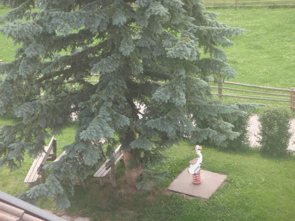 Hotel Silvesterhof Dobbiaco Zewnętrze zdjęcie
